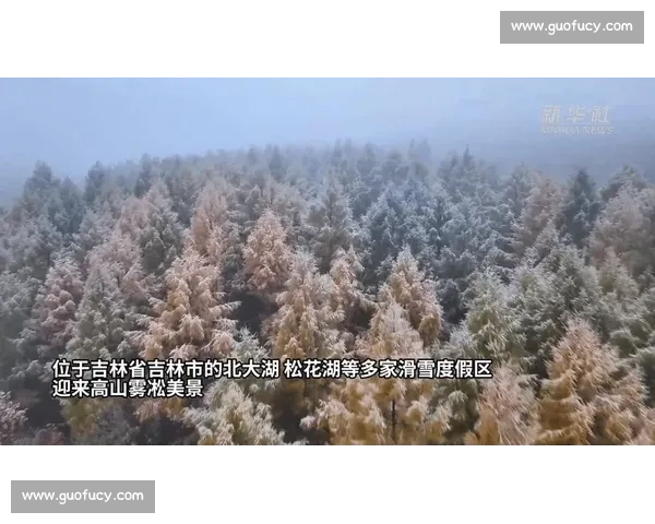 吉林新雪季蓄力:雪场提质,粉雪迎客 吉林新雪季蓄力:雪场提质,粉雪迎客